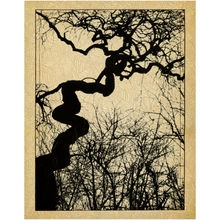 Mozartgrab Art Print