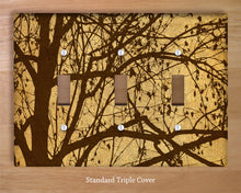 Ljubljana Weeping Wall Plates