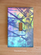 Rainbow Tree Wall Plates